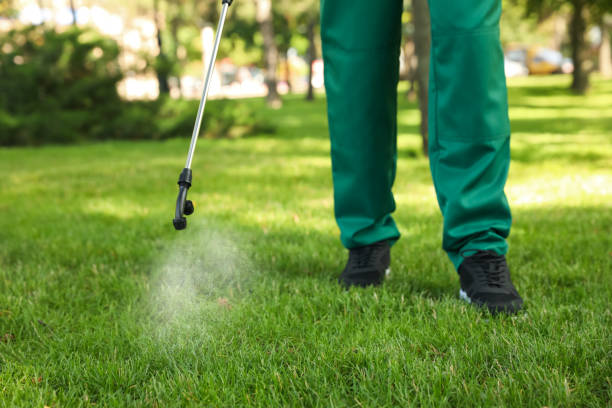 Best Cockroach Control Services  in Kathleen, FL