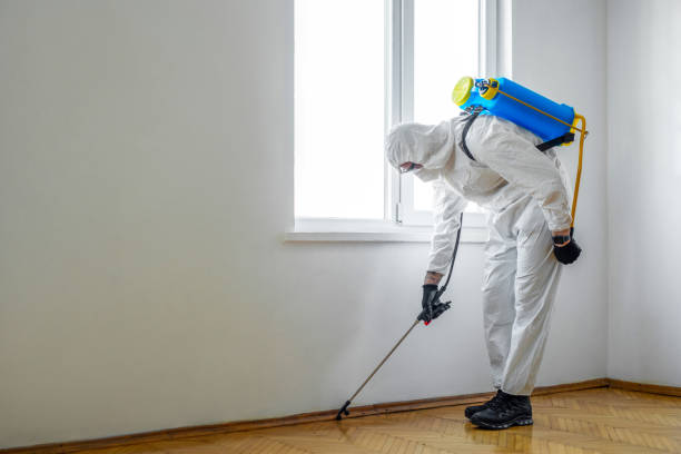 Best Wasp Removal Services  in Kathleen, FL