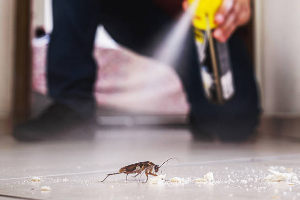 Wildlife Control Services in Kathleen, FL