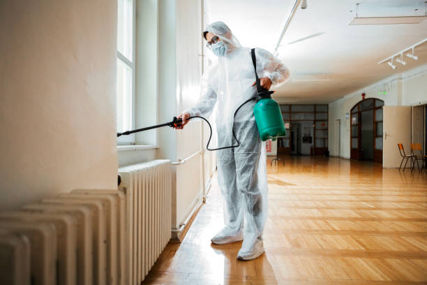 Best Termite Control Services  in Kathleen, FL