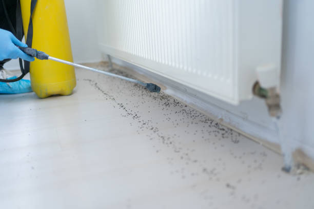 Best Exterminator Services  in Kathleen, FL