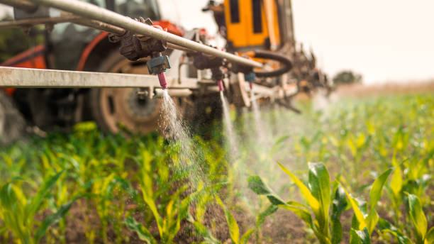 Best Ant Control Services  in Kathleen, FL